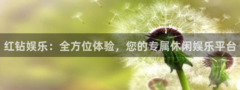 高德娱乐：红钻娱乐：全方位体验，您的专属休闲娱乐平台