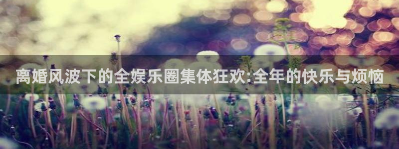 高德娱乐：离婚风波下的全娱乐圈集体狂欢:全年的快乐与烦恼