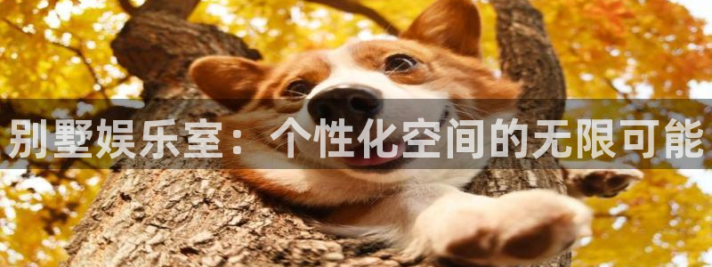 高德娱乐：别墅娱乐室：个性化空间的无限可能
