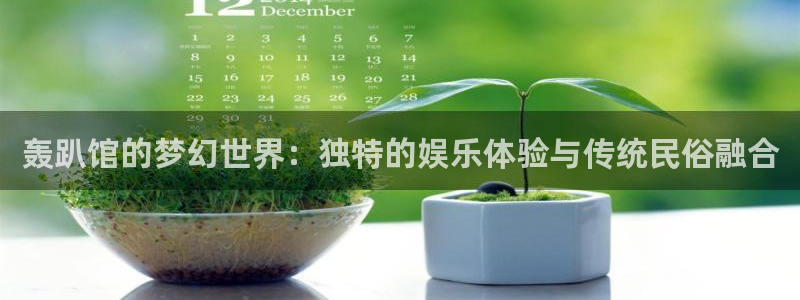 高德娱乐：轰趴馆的梦幻世界：独特的娱乐体验与传统民俗融合
